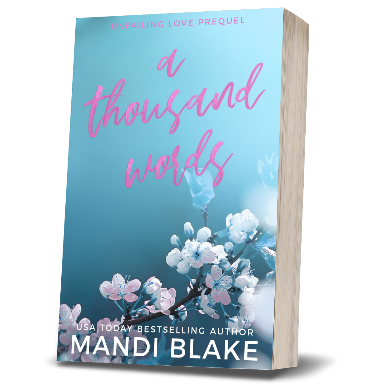 A Thousand Words - Mass Market - Signed Paperback