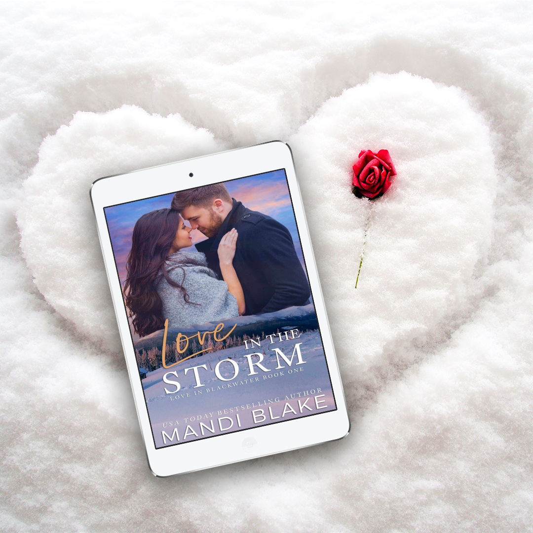 Love in the Storm - Audiobook